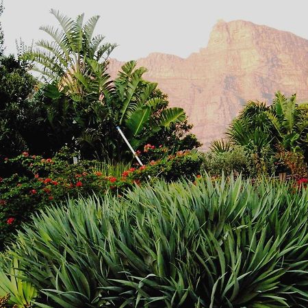 Bakoven Cottage Cape Town Ruang foto